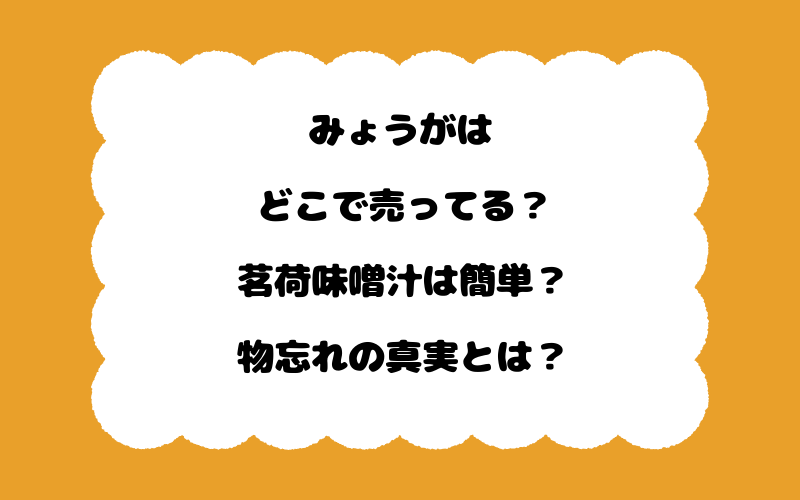 みょうがはどこで売ってる？茗荷味噌汁は簡単？物忘れの真実とは？