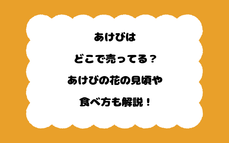 あけびはどこで売ってる？あけびの花の見頃や食べ方も解説！