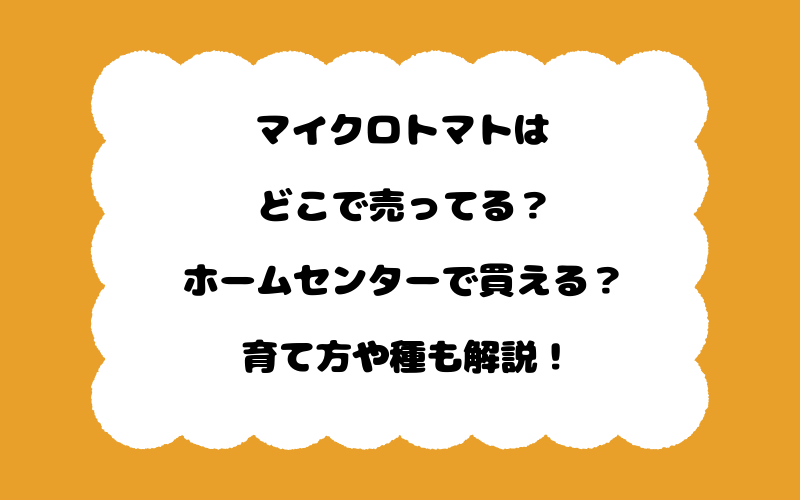 マイクロトマトはどこで売ってる？ホームセンターで買える？育て方や種も解説！